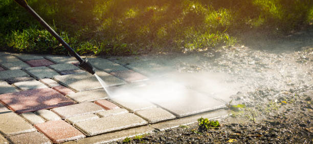 Best Fleet Vehicle Washing  in Rainbow Park, FL