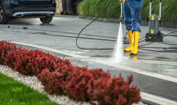 Best Animal Enclosure Cleaning  in Rainbow Park, FL